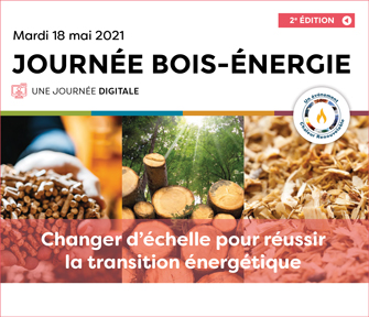 SER_Actus_Bilan-Journee-Bois-Energie_280521