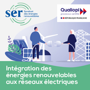 Intégration des énergies renouvelables aux réseaux électriques