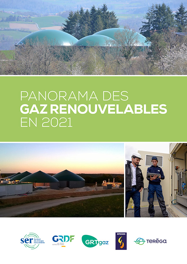 Pages de SER_PanoramaGazRenouvelable2021_Web