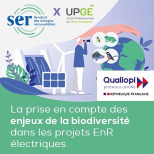 Nouveau : La prise en compte des enjeux de la biodiversité dans les projets EnR électriques