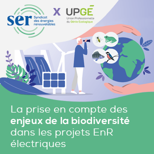 Nouveau : La prise en compte des enjeux de la biodiversité dans les projets EnR électriques