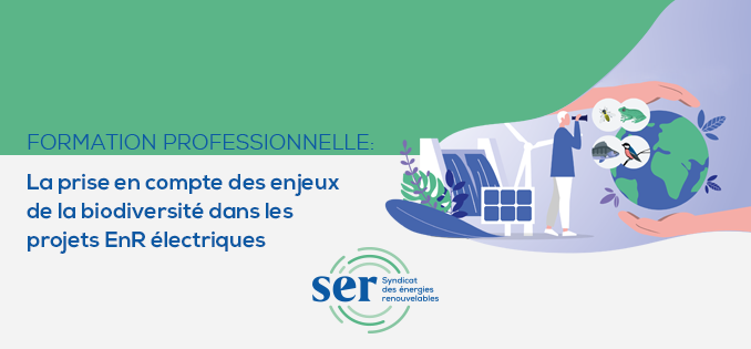 La prise en compte des enjeux de la biodiversité dans les projets EnR ...