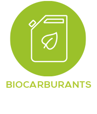 Biocarburants