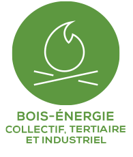 Bois-énergie