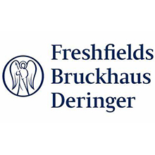 FRESHFIELDS BRUCKHAUS DERINGER LLP