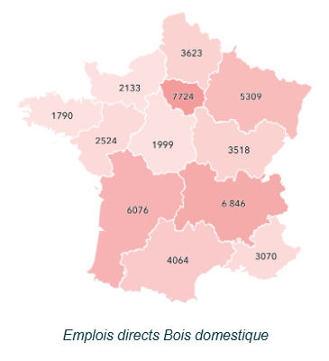 Emplois directs Bois domestique